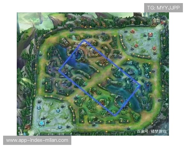 “战术创新：联盟最新的花式打法揭秘”，英雄联盟战术术语