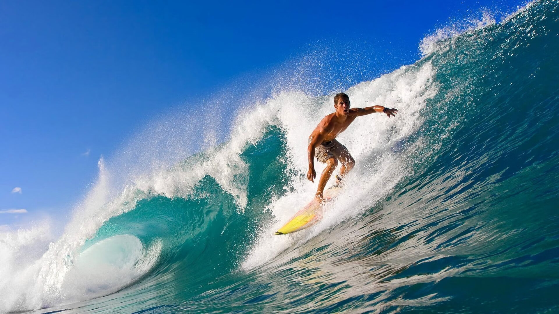 Chinese Taipei团队未来发展:迈向全球化与多元化,china taipei