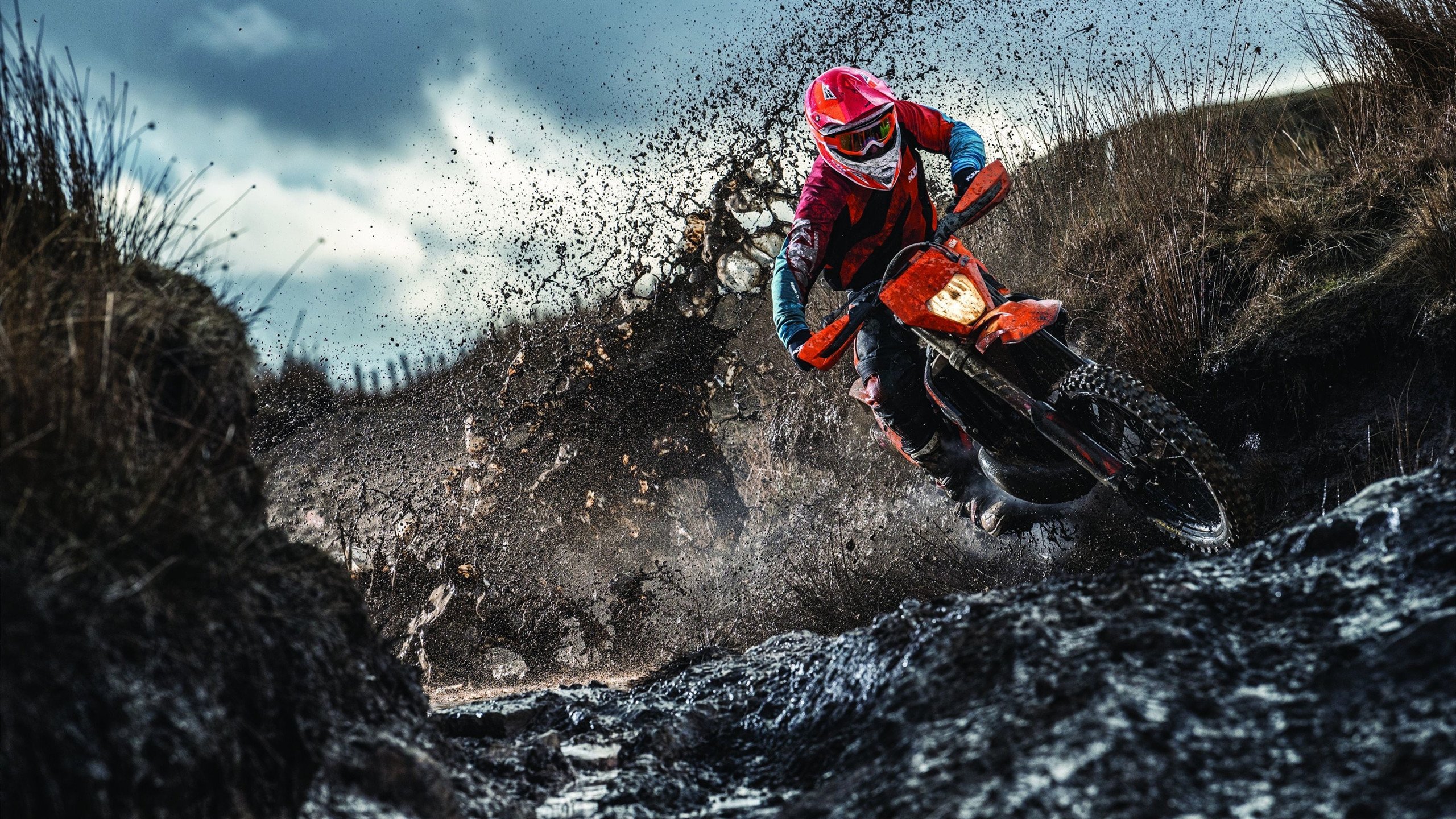 2026年世界校园电竞联赛全球总决赛 中国高校战队首次夺冠